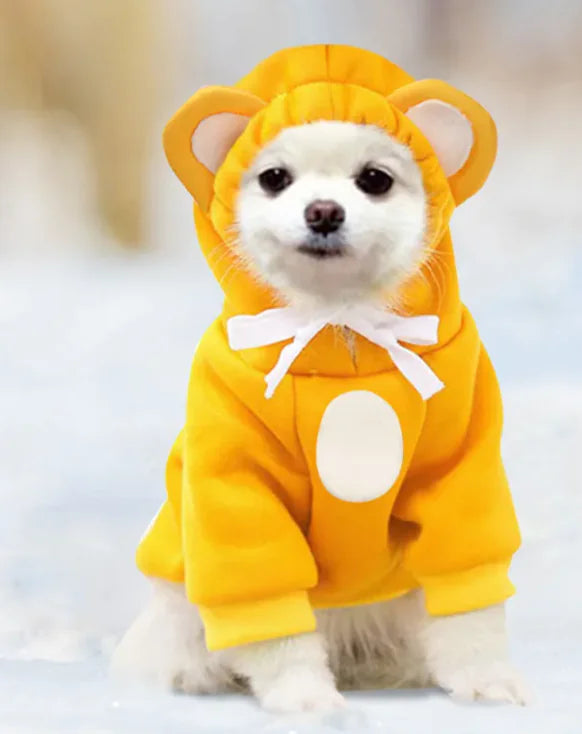Felpaw